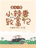 重生八零辣妻当家
